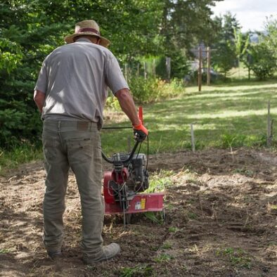gardener-5384191_640